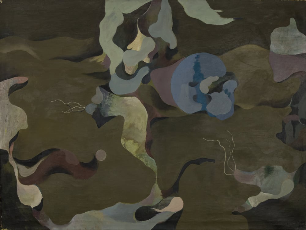 GB-M1156 – Bergmann Bergmann: Afrikanische Vegetation, 1955/1956